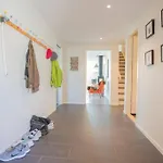 Fosskamben 1 Moderne Ikkje Langt Fra Sogndal
