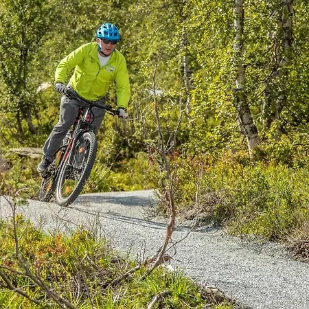 Fosskamben 1 Moderne Ikkje Langt Fra Ferienhaus Sogndal